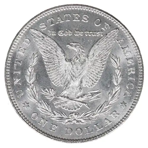 Morgan Silver Dollar (2)