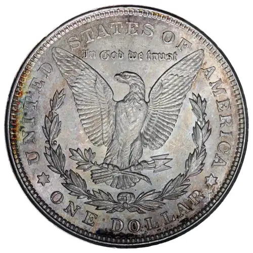 Morgan Silver Dollar (2)