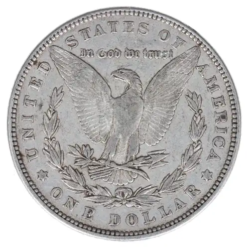 Morgan Silver Dollar (2)