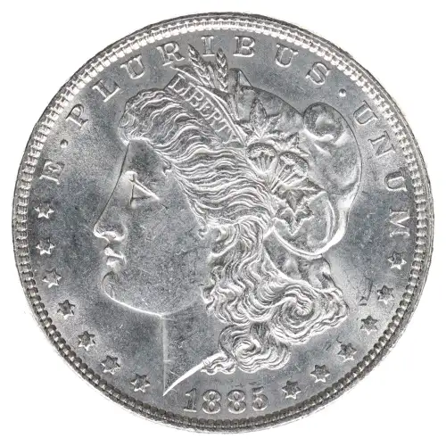 Morgan Silver Dollar (2)