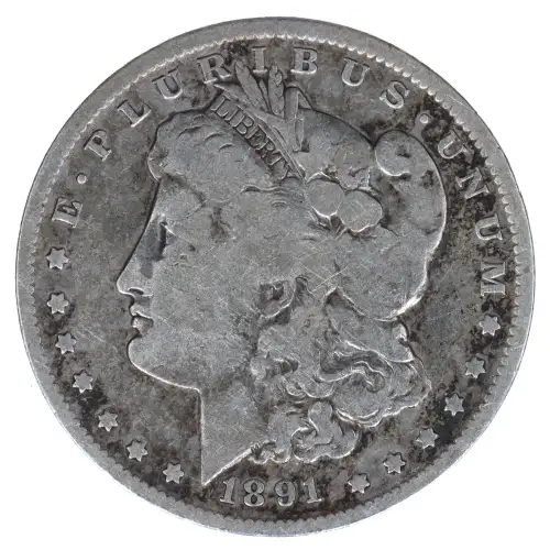Morgan Silver Dollar (2)