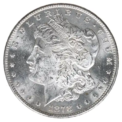Morgan Silver Dollar (2)