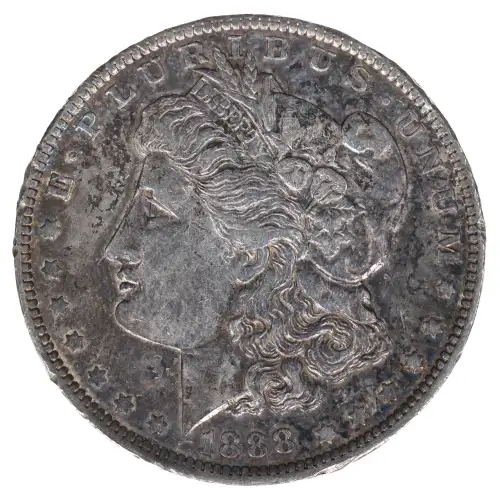 Morgan Silver Dollar