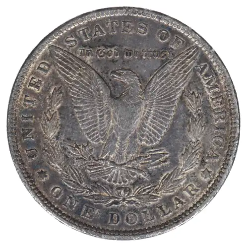 Morgan Silver Dollar (2)