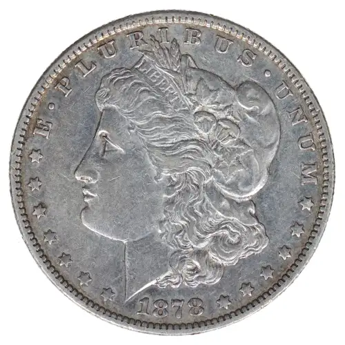 Morgan Silver Dollar (2)