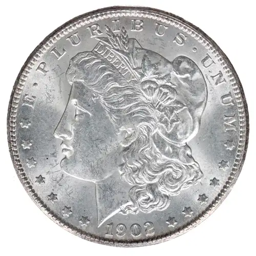 Morgan Silver Dollar