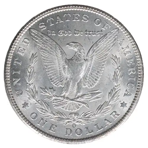 Morgan Silver Dollar (2)