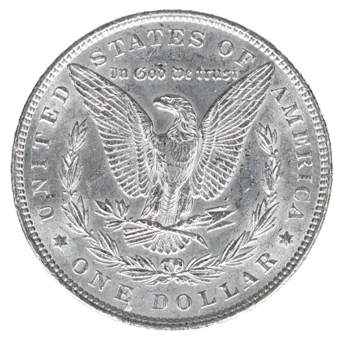 Morgan Silver Dollar (2)