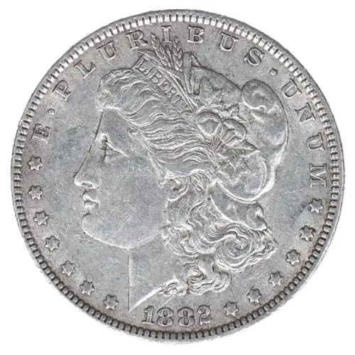 Morgan Silver Dollar (2)