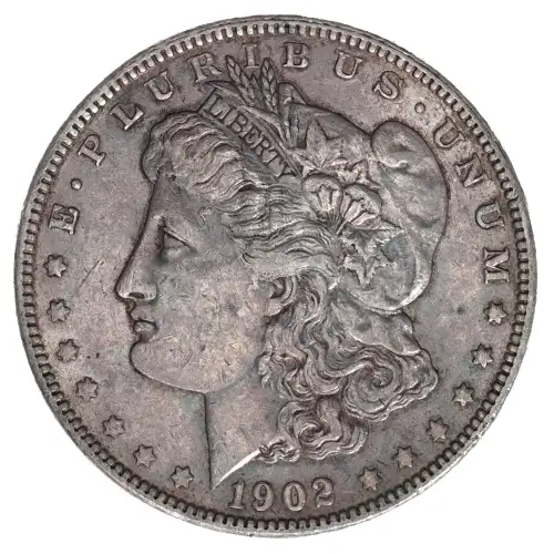 Morgan Silver Dollar (2)