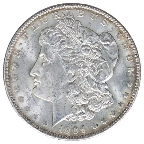 Morgan Silver Dollar