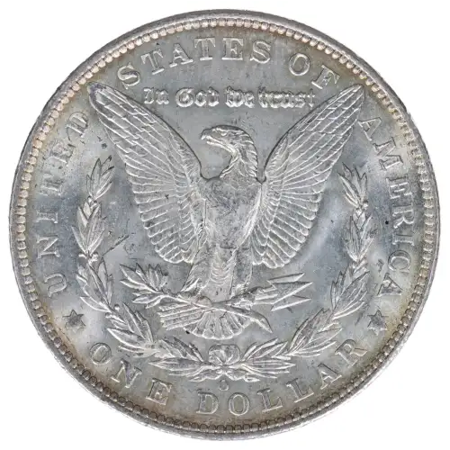 Morgan Silver Dollar (2)