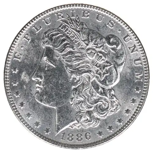 Morgan Silver Dollar (2)