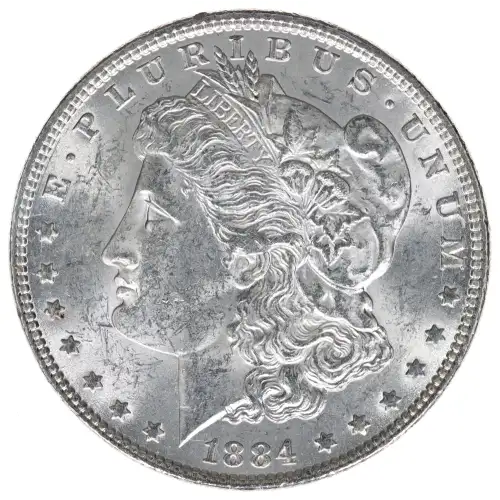 Morgan Silver Dollar (2)