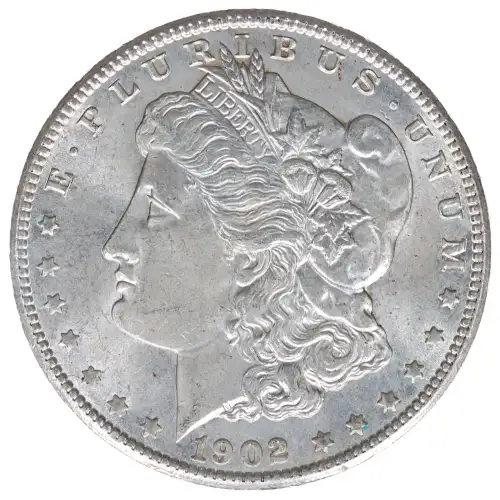Morgan Silver Dollar (2)