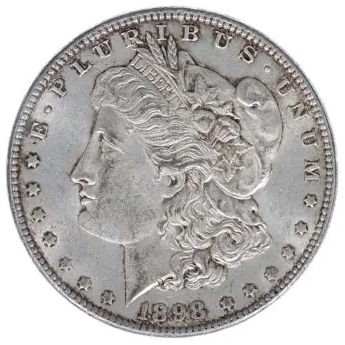 Morgan Silver Dollar (2)