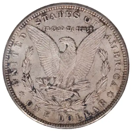 Morgan Silver Dollar (2)