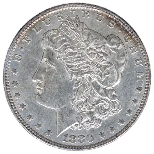 Morgan Silver Dollar