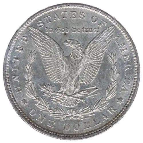 Morgan Silver Dollar (2)