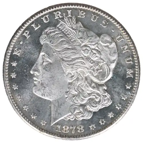 Morgan Silver Dollar (2)