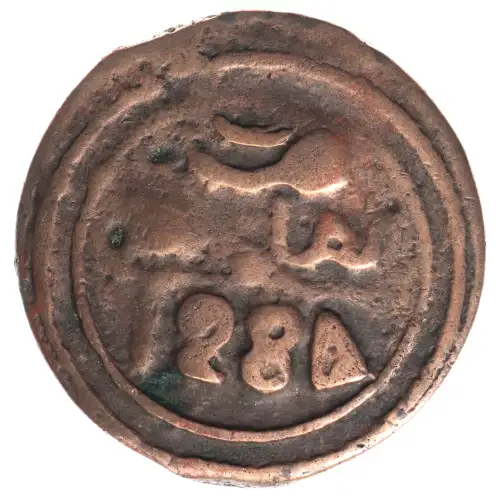 Morocco Copper FALUS (2)