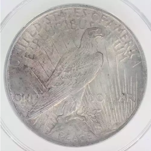 Peace Silver Dollar (2)