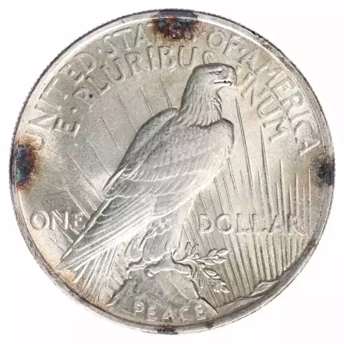 Peace Silver Dollar (2)