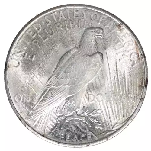 Peace Silver Dollar