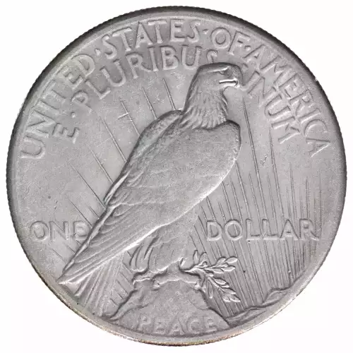 Peace Silver Dollar (2)