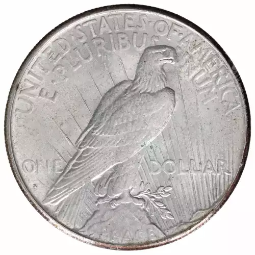 Peace Silver Dollar (2)