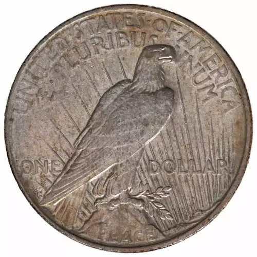 Peace Silver Dollar (2)