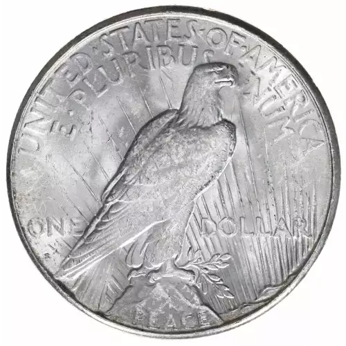 Peace Silver Dollar