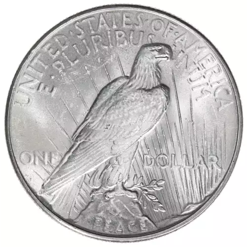 Peace Silver Dollar (2)