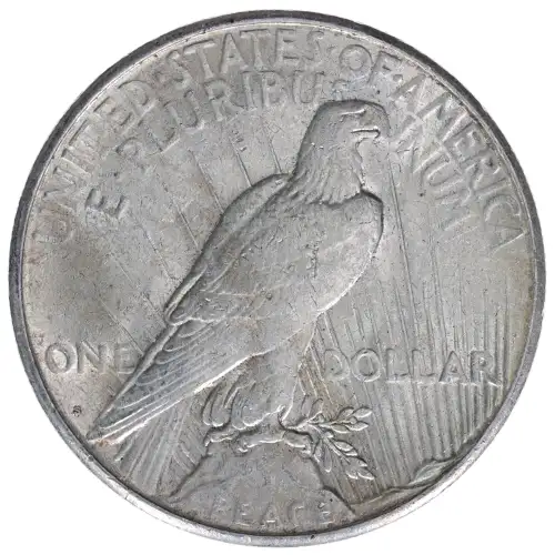 Peace Silver Dollar