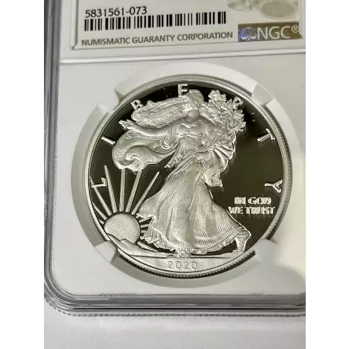 Silver Eagles (2)