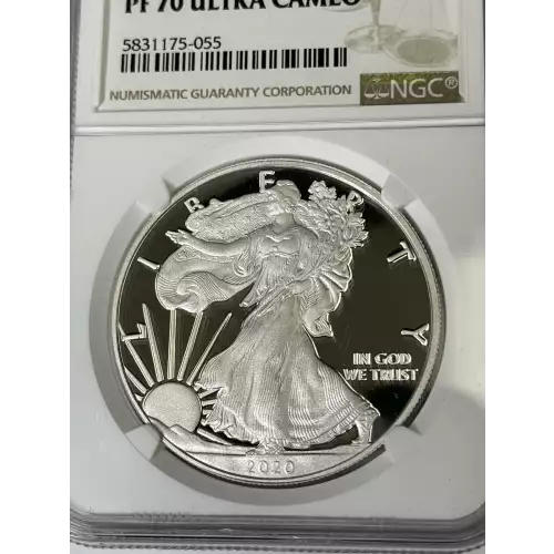 Silver Eagles (2)