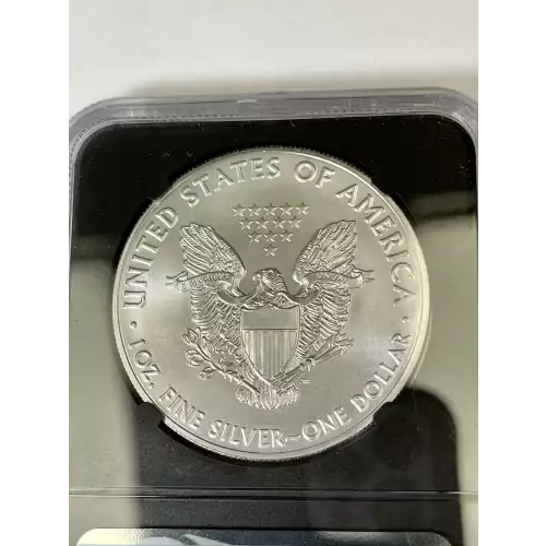 Silver Eagles (4)