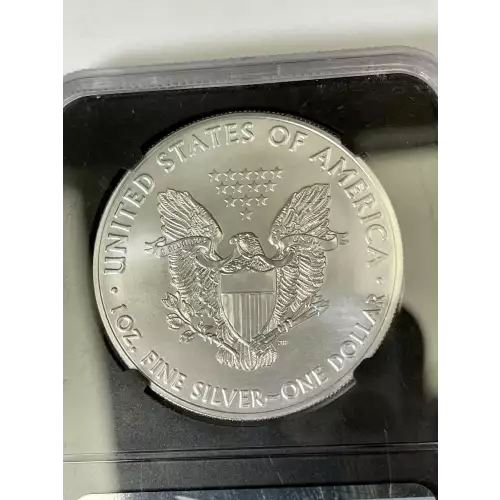 Silver Eagles (3)