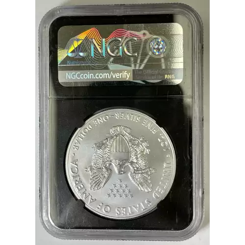 Silver Eagles (4)