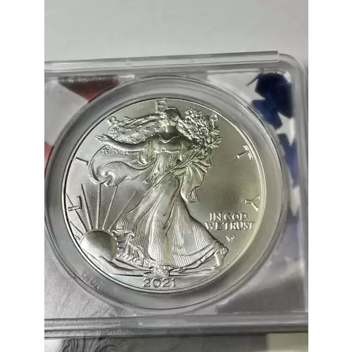 Silver Eagles (4)