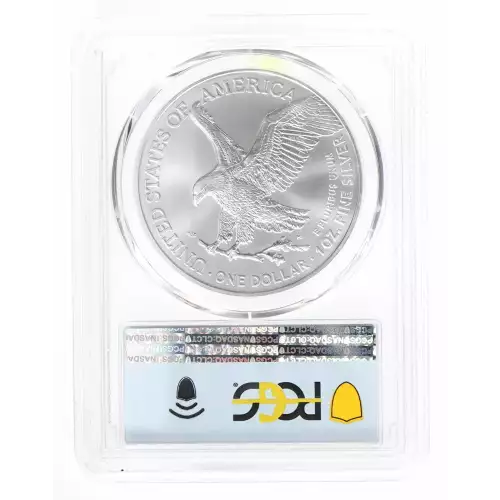 Silver Eagles (2)