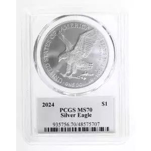 Silver Eagles (2)