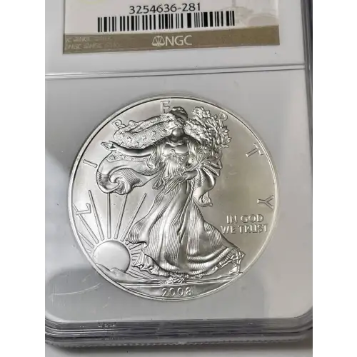 Silver Eagles (2)
