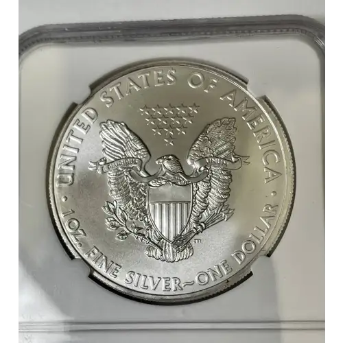 Silver Eagles (4)