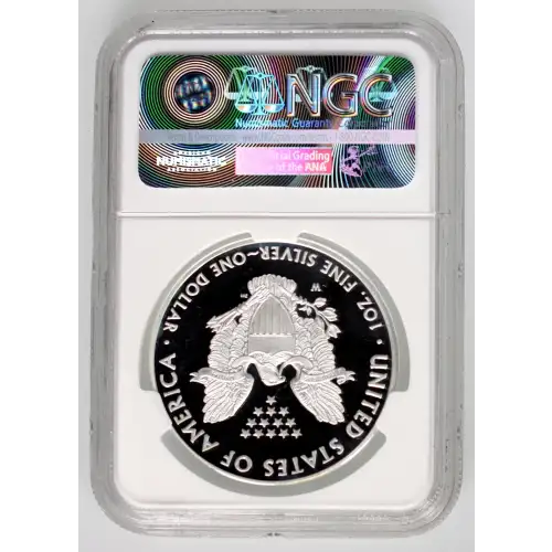 Silver Eagles (2)