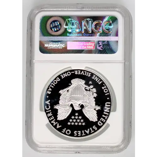 Silver Eagles