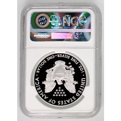 Silver Eagles (2)