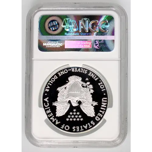 Silver Eagles (2)