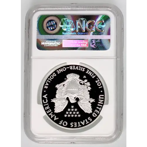 Silver Eagles (2)