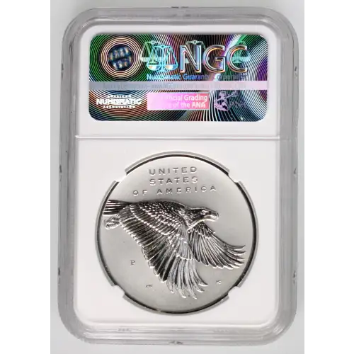 Silver Flowing Hair 230th Anniversary High Relief Medal